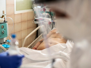 Na intenzivní péči leží v nemocnicích v Plzeňském kraji 40 pacientů s covidem