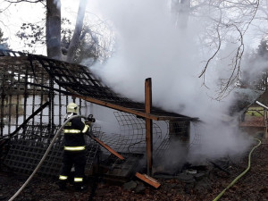 V chatce, kterou pohltily plameny uhořeli dva psi