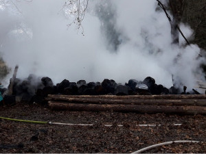 V chatce, kterou pohltily plameny uhořeli dva psi