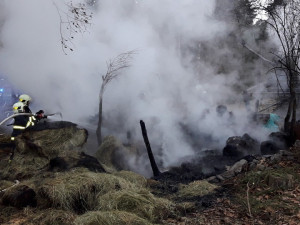 V chatce, kterou pohltily plameny uhořeli dva psi
