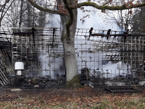 V chatce, kterou pohltily plameny uhořeli dva psi