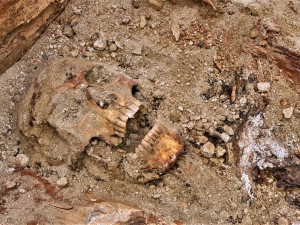 Unikátní objev v klatovských katakombách! Archeologové tam našli pohřbené tělo