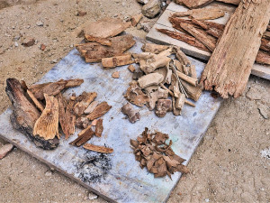 Unikátní objev v klatovských katakombách! Archeologové tam našli pohřbené tělo