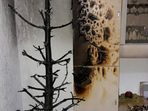 Od prskavky vzplál v Plzni vánoční stromek, požár se pak rozšířil na zařízení bytu