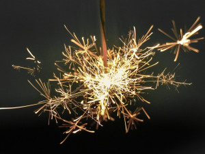 Od prskavky vzplál v Plzni vánoční stromek, požár se pak rozšířil na zařízení bytu