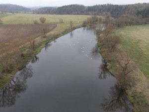 Zimoviště u Dolanského mostu