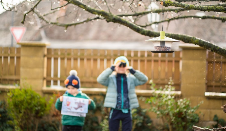 Připravte si zrní, papír a tužku. Startuje sčítání ptactva na krmítku