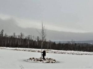 Tato fotografie pořízená na Chalupské slati může její aktéry přijít až na 100 000 korun