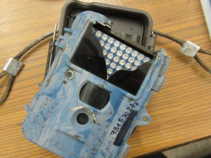 Neukáznění turisté se na Šumavě baví ničením fotopastí, ze zábavy po nich hází kameny