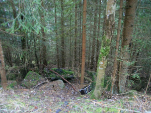 Neukáznění turisté se na Šumavě baví ničením fotopastí, ze zábavy po nich hází kameny