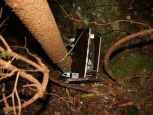 Neukáznění turisté se na Šumavě baví ničením fotopastí, ze zábavy po nich hází kameny