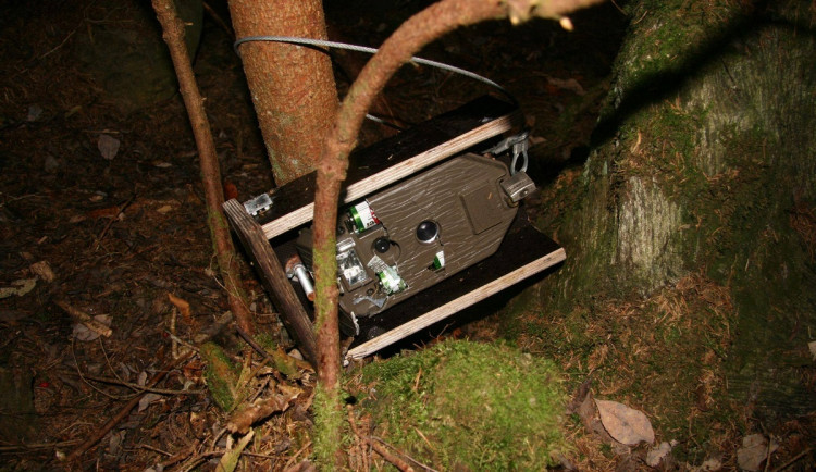 Neukáznění turisté se baví ničením fotopastí, ze zábavy po nich hází kameny