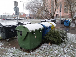 Odstrojené vánoční stromky mají lidé odkládat ke kontejnerům
