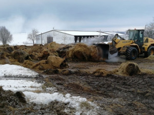 Dohašování balíků sena pokračuje ještě dnes