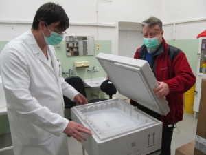 První dodávka vakcín proti koronaviru už odjela z Plzně do krajských nemocnic