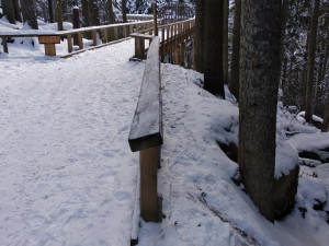 U vlčího výběhu v Srní zase lidé chodí i přes zákaz mimo vyznačené cesty až k plotu, aby se dostali k vlkům co nejblíž