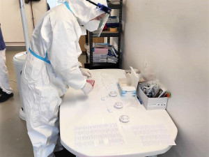 Armádní specialisté pomáhají v Domažlické nemocnici bojovat s covidem