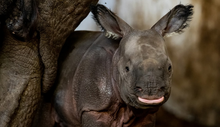 137496885_10158846100169719_997167782141059979_o