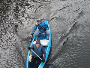 Labutě, kachny i kormoráni. Ochránci přírody vyrazili sčítat vodní ptáky na Berounce