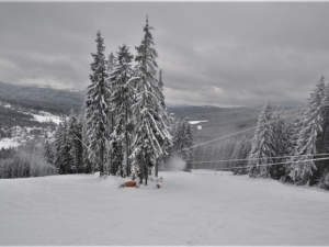 Uzavřená lyžařská střediska bijí na poplach a chtějí zachránit alespoň zbytek sezóny