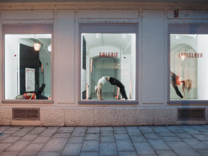 Tanečníci obsadili výlohy v centru Plzně a vzkazují: Kultura stále žije