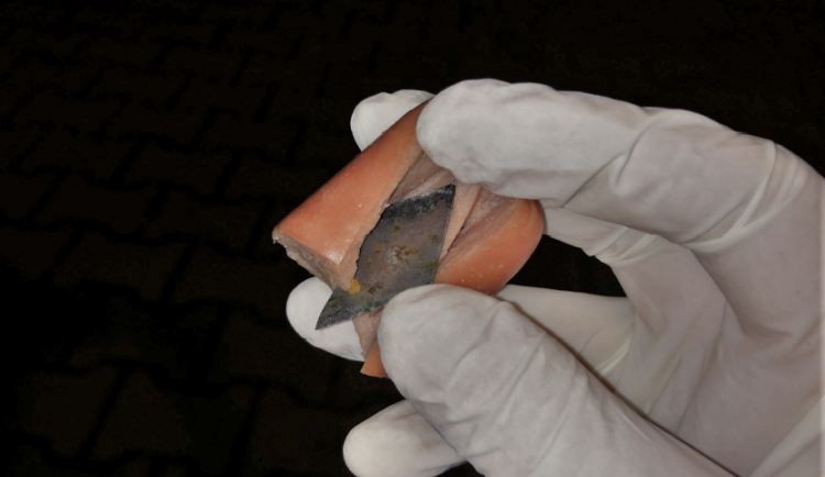 Pejskaři, pozor! Nastražené párky v sobě ukrývají kousky nože na koberce