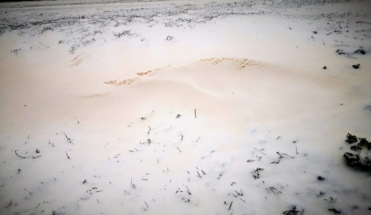 Písek ze Sahary zbarvil v Česku sníh, auta i okna do oranžového odstínu