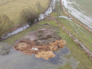 Masakr čtyř orlů mořských vyšetřuje policie, neznámý pachatel je na Klatovsku otrávil