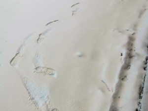 Písek ze Sahary zbarvil v Česku sníh, auta i okna do oranžového odstínu