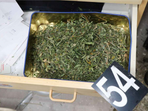 Pěstitelé konopí mají utrum, posvítil si na ně TOXI tým a zásahovka