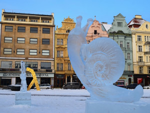 Klasická ZOO má zavřeno u té z ledových soch na náměstí se tísní davy lidí