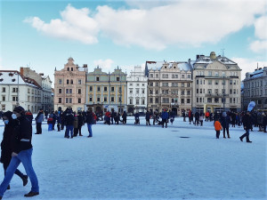 Klasická ZOO má zavřeno u té z ledových soch na náměstí se tísní davy lidí