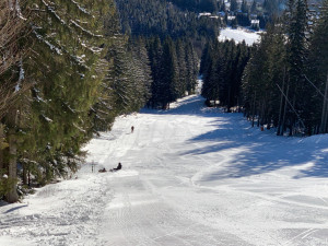 Kdo si chce pořádně zalyžovat, musí si sjezdovky na šumavském Špičáku vyšlápnout pěšky
