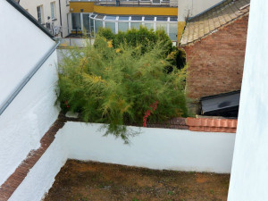 Zrekonstruovaný dům nabízí osm bytů pro sociální bydlení