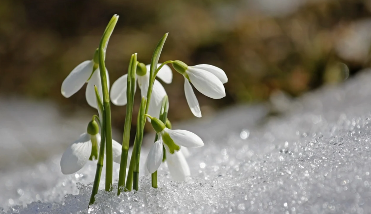 Kvilda - Jezerní potok