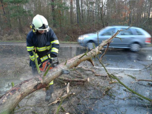 Hasiči od rána likvidují popadané stromy, vítr neutichne ani o víkendu