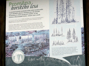 Poničená infortabule