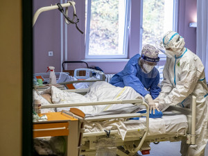 Stále se nepotvrdilo očekávané pozastavení růstu pacientů s covidem v Plzeňském kraji