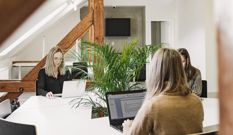 I v době pandemie zkouší podnikatelé štěstí, třeba v rámci sdílených kanceláří