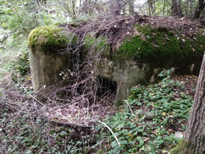 Když nemají školu, chodí a čistí bunkry. Čtyři chlapci, by zde rádi vytvořili malé muzeum