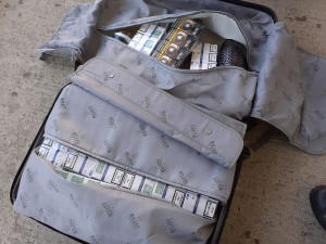 Služební pes celníků našel v dodávce úkryt s nákladem nelegálních cigaret