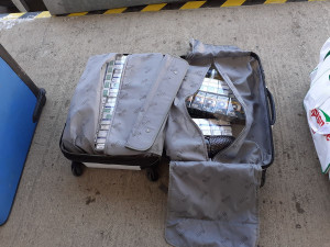 Služební pes celníků našel v dodávce úkryt s nákladem nelegálních cigaret