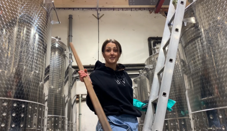 Co se skrývá za sklenkou aneb sklep(mistr) dělá víno