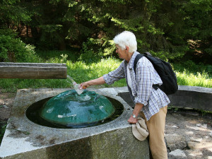 Před 30 lety vznikl NP Šumava, většinu území tvořil původně vojenský prostor