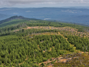 Před 30 lety vznikl NP Šumava, většinu území tvořil původně vojenský prostor