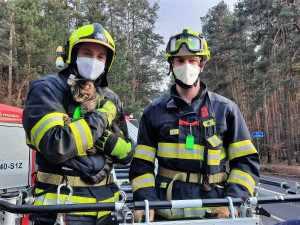 Hasiči neváhali použít výsuvnou plošinu, aby zachránili kočku z vysokého stromu