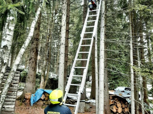Hasiči zachraňovali ze stromu kocoura také na Špičáku