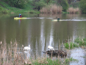 Obávaný "Trenér" opět prohání svými útoky rychlostní kanoisty na řece Radbuze