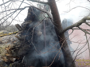 Torzo dříve památného stromu zachvátil požár, hasiči nevylučují úmyslné zapálení