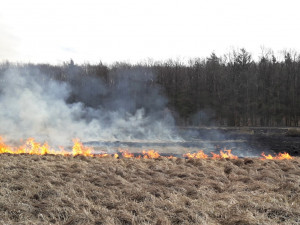 Hasiči bojují s požárem trávy u Vejprnic